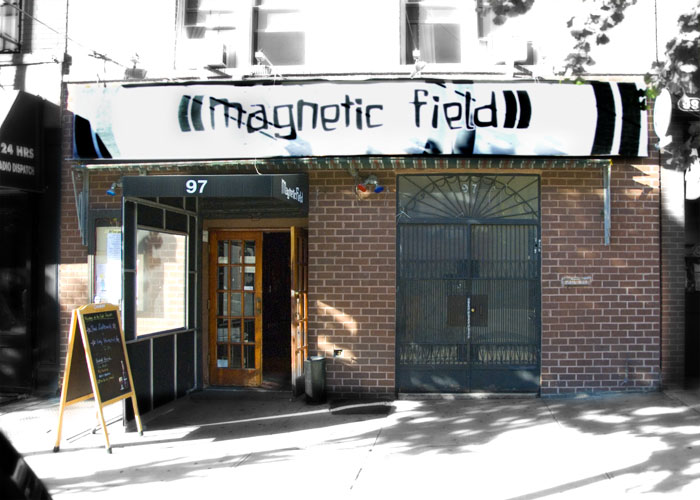 Magnetic Field, photographed for New York on Tap