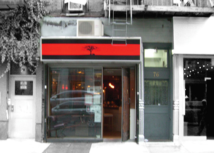 Spur Tree, photographed for New York on Tap
