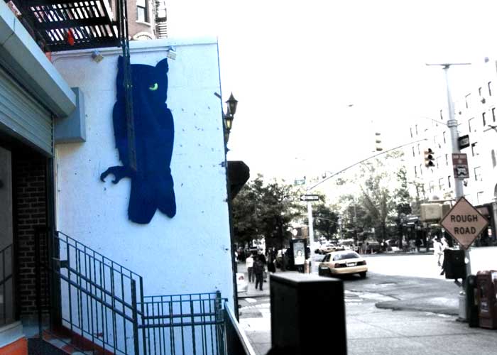 Blue Owl, photographed for New York on Tap