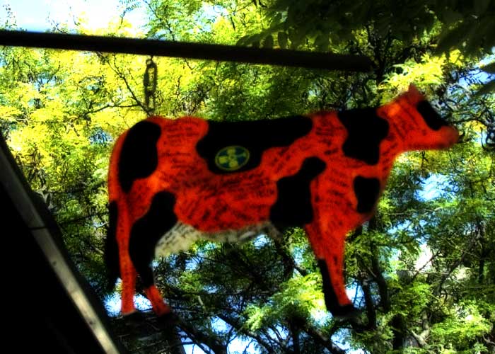 The Sunburnt Cow, photographed for New York on Tap