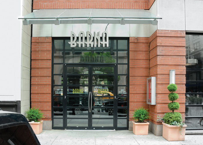 Barna (Hotel Giraffe), photographed for New York on Tap