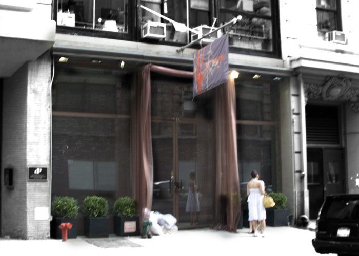 Taj II, photographed for New York on Tap